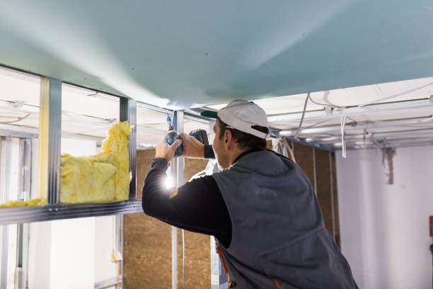 Best Residential Insulation in Wheaton, MN