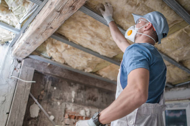 Best Cellulose Insulation in Wheaton, MN