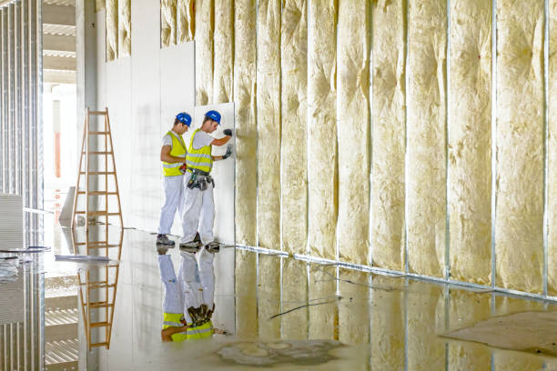 Best Geographic-Specific Insulation Services in Wheaton, MN